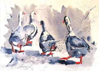Duck and Geese in watercolour with box - Image 5
