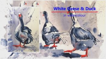 Duck and Geese in watercolour with box
