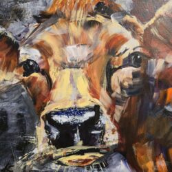 Paint a vibrant Jersey Cow with Box/materials